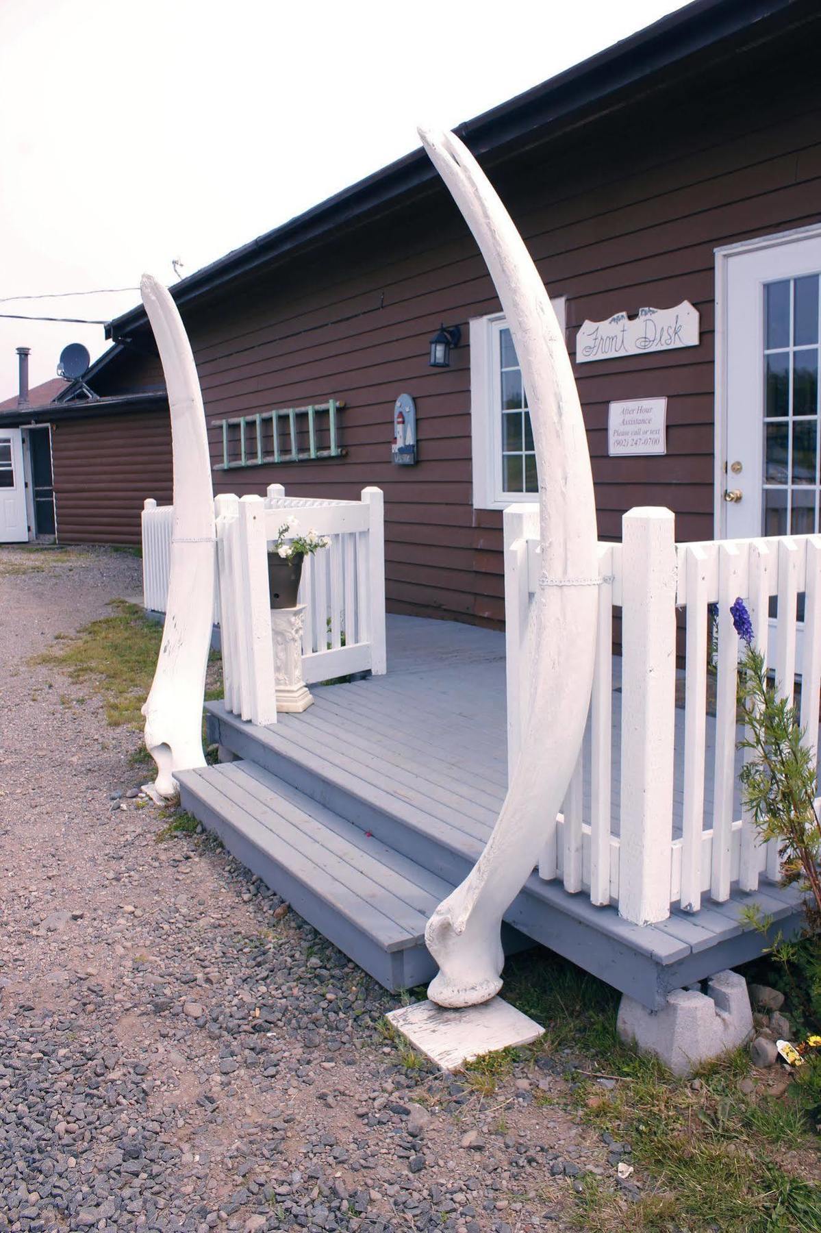 Brier Island Lodge Westport Exteriér fotografie